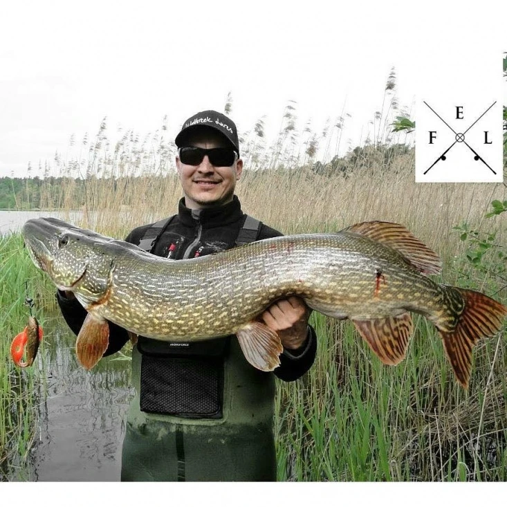 Eastfield Wingman Curly 23cm, 77g – Bild 2