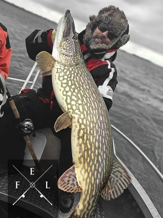 Eastfield Wingman Curly 23cm, 77g – Bild 3