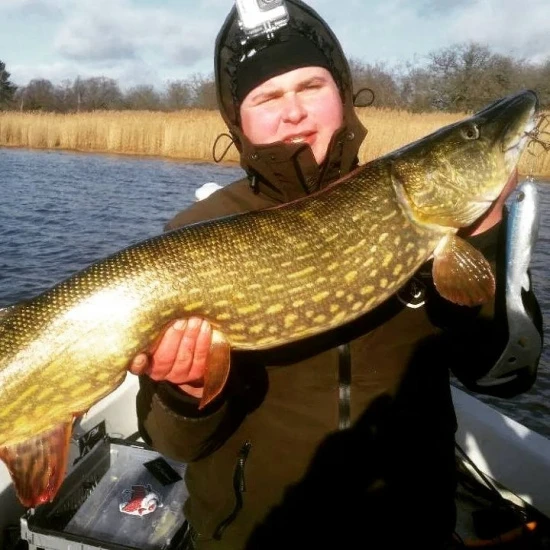 Eastfield Wingman Curly 23cm, 77g – Bild 4