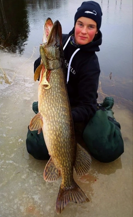 Eastfield Wingman Curly 23cm, 77g – Bild 5